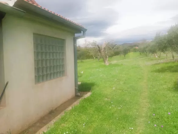 Land In Šijana, Croatia (3.353 M²)