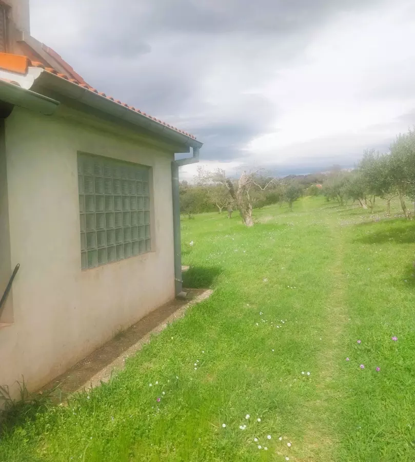 Land In Šijana, Croatia (3.353 M²)