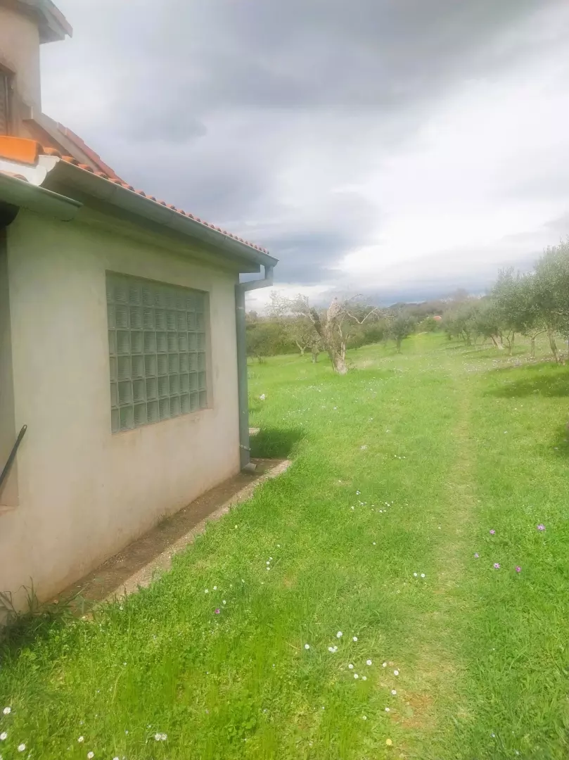 Land In Šijana, Croatia (3.353 M²)