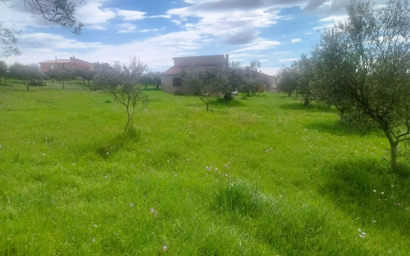 Land In Šijana, Croatia (3.353 M²)