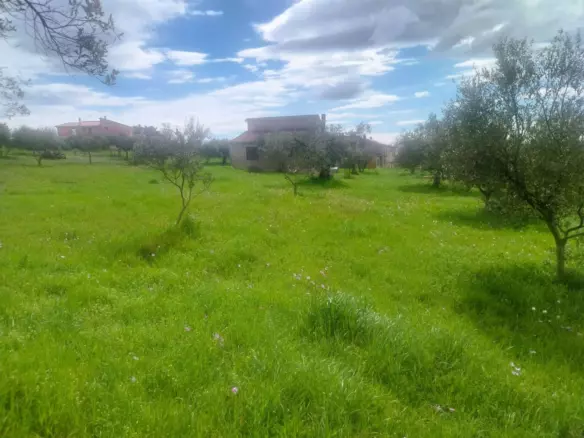 Land In Šijana, Croatia (3.353 M²)