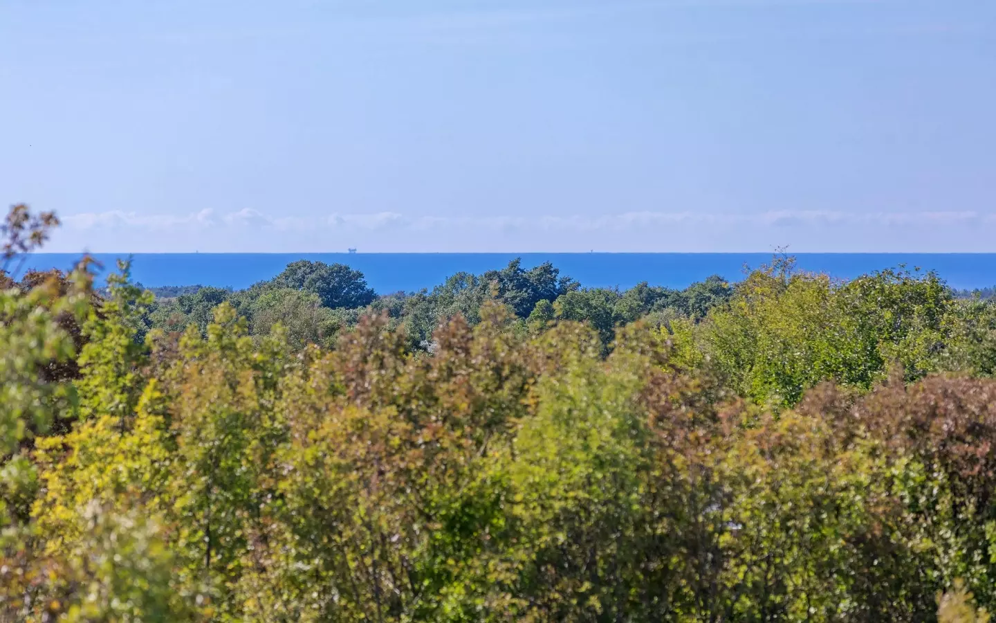 4-bedroom Detached House In Svetvinčenat, Croatia (279 M²)