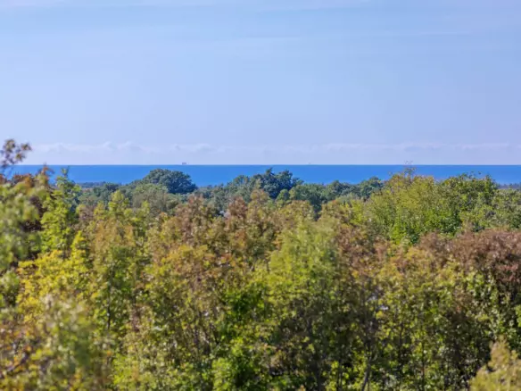 4-bedroom Detached House In Svetvinčenat, Croatia (279 M²)