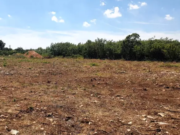 Land In Debeljak, Croatia (730 M²)
