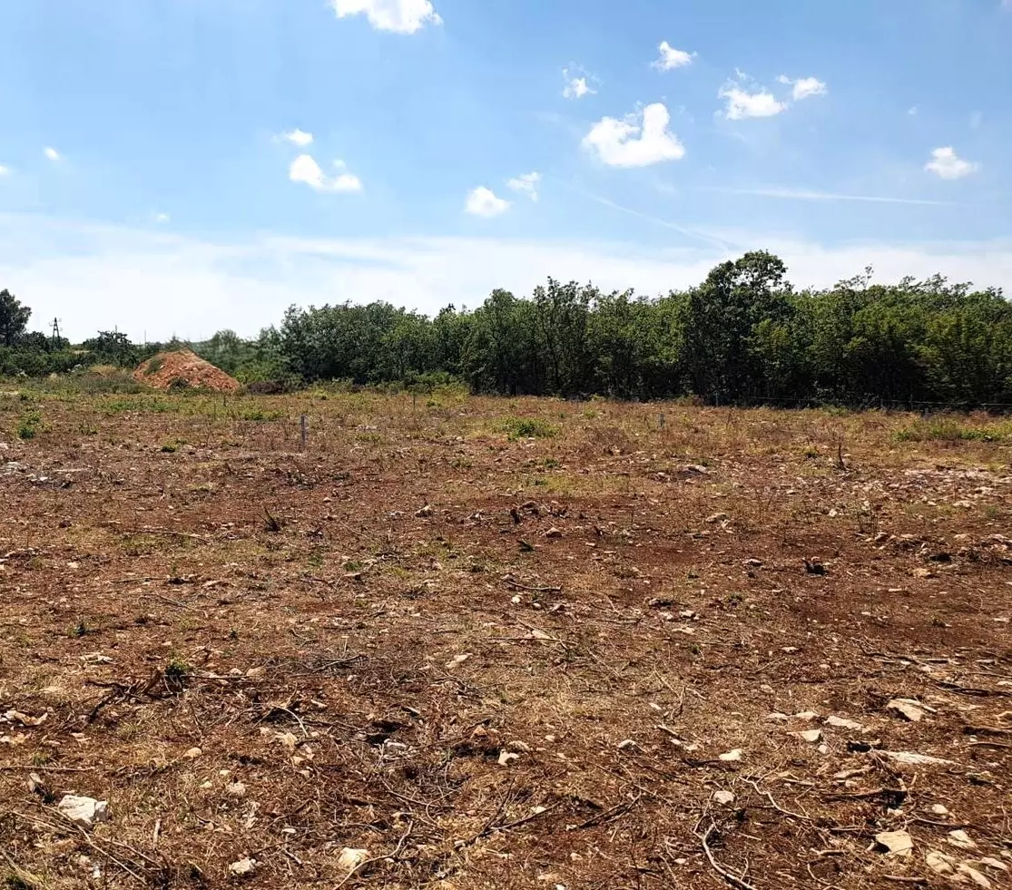 Land In Debeljak, Croatia (730 M²)