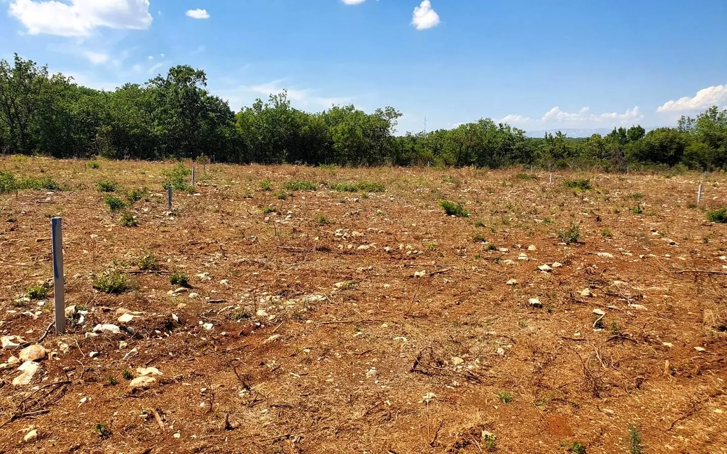 Land In Debeljak, Croatia (730 M²)