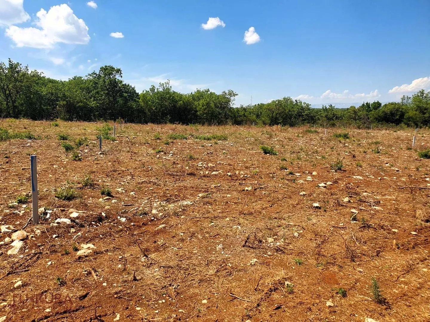 Land In Debeljak, Croatia (730 M²)