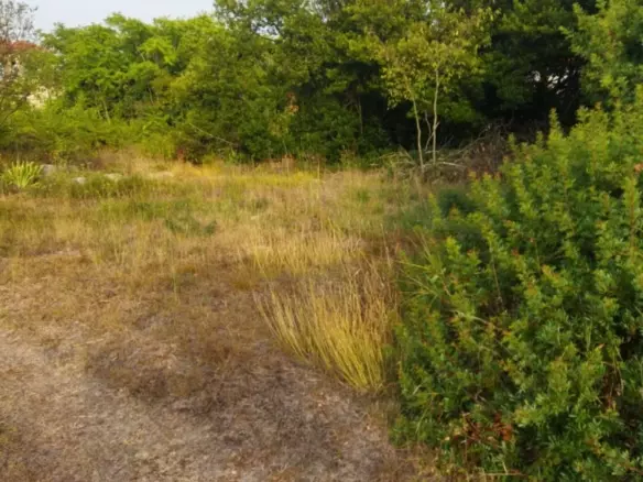 Land In Pašman, Croatia (839 M²)