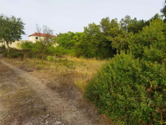 Land In Pašman, Croatia (839 M²)