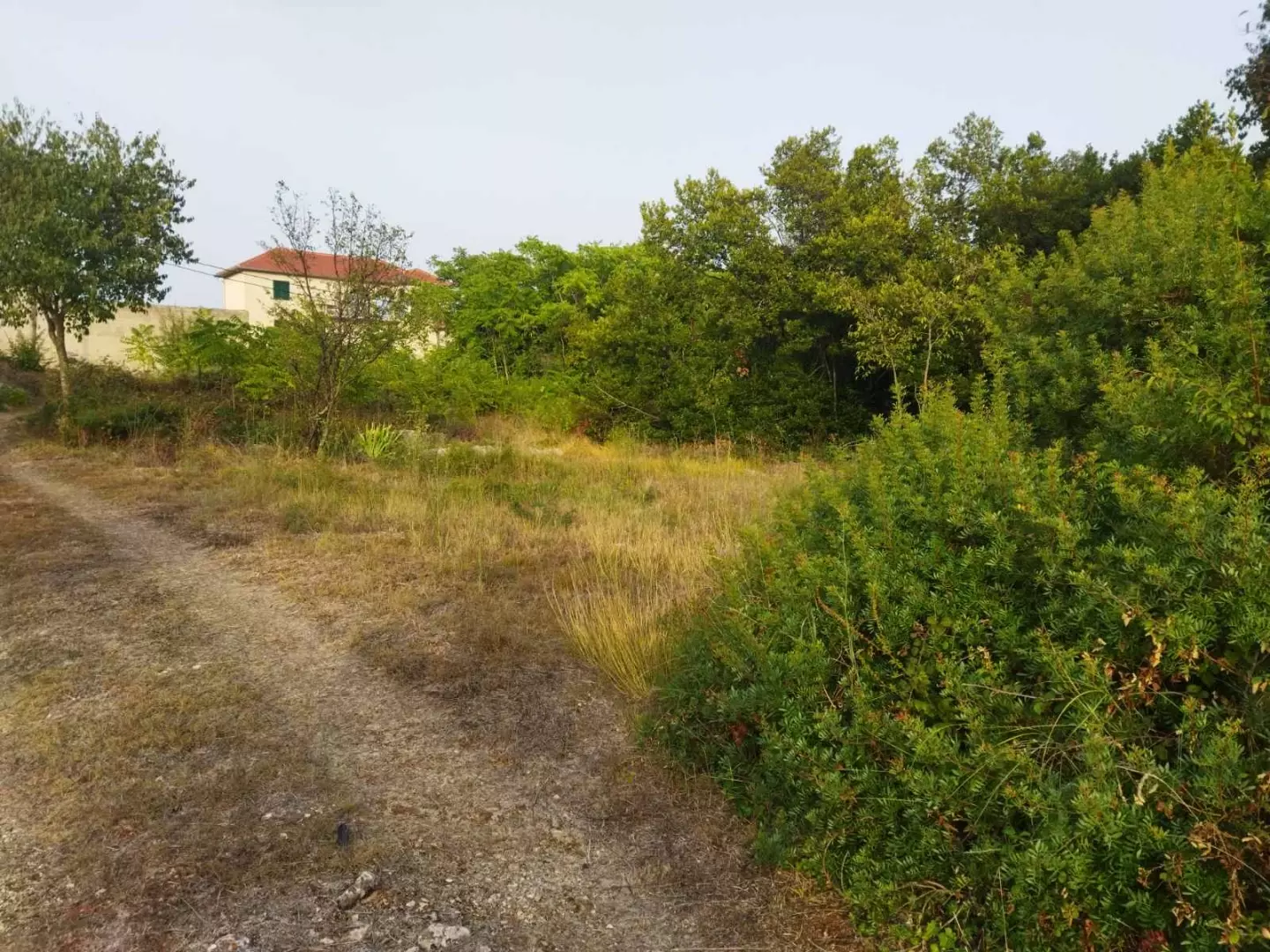 Land In Pašman, Croatia (839 M²)