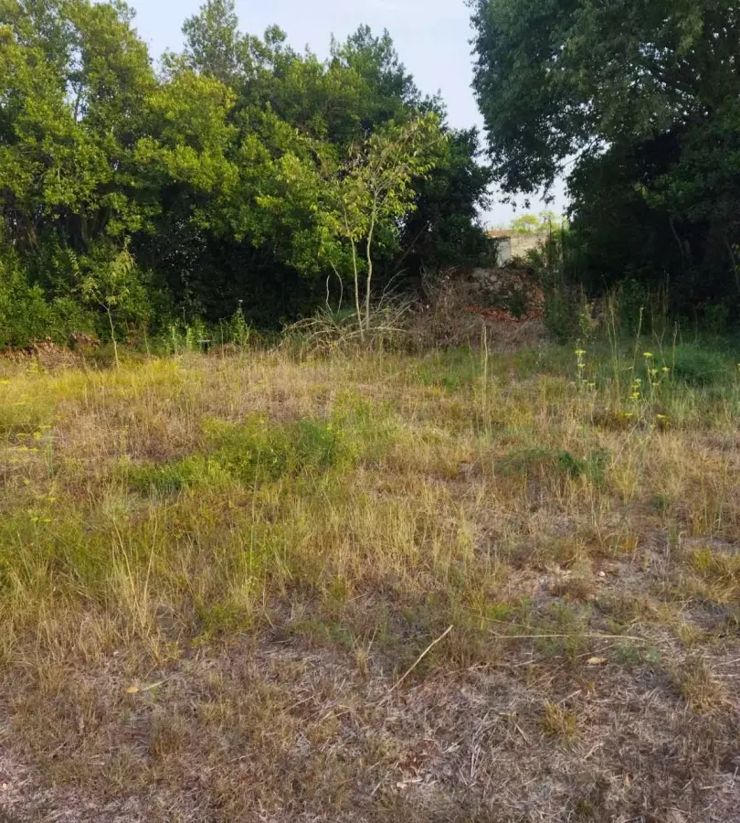 Land In Pašman, Croatia (839 M²)