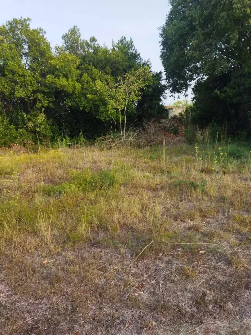 Land In Pašman, Croatia (839 M²)