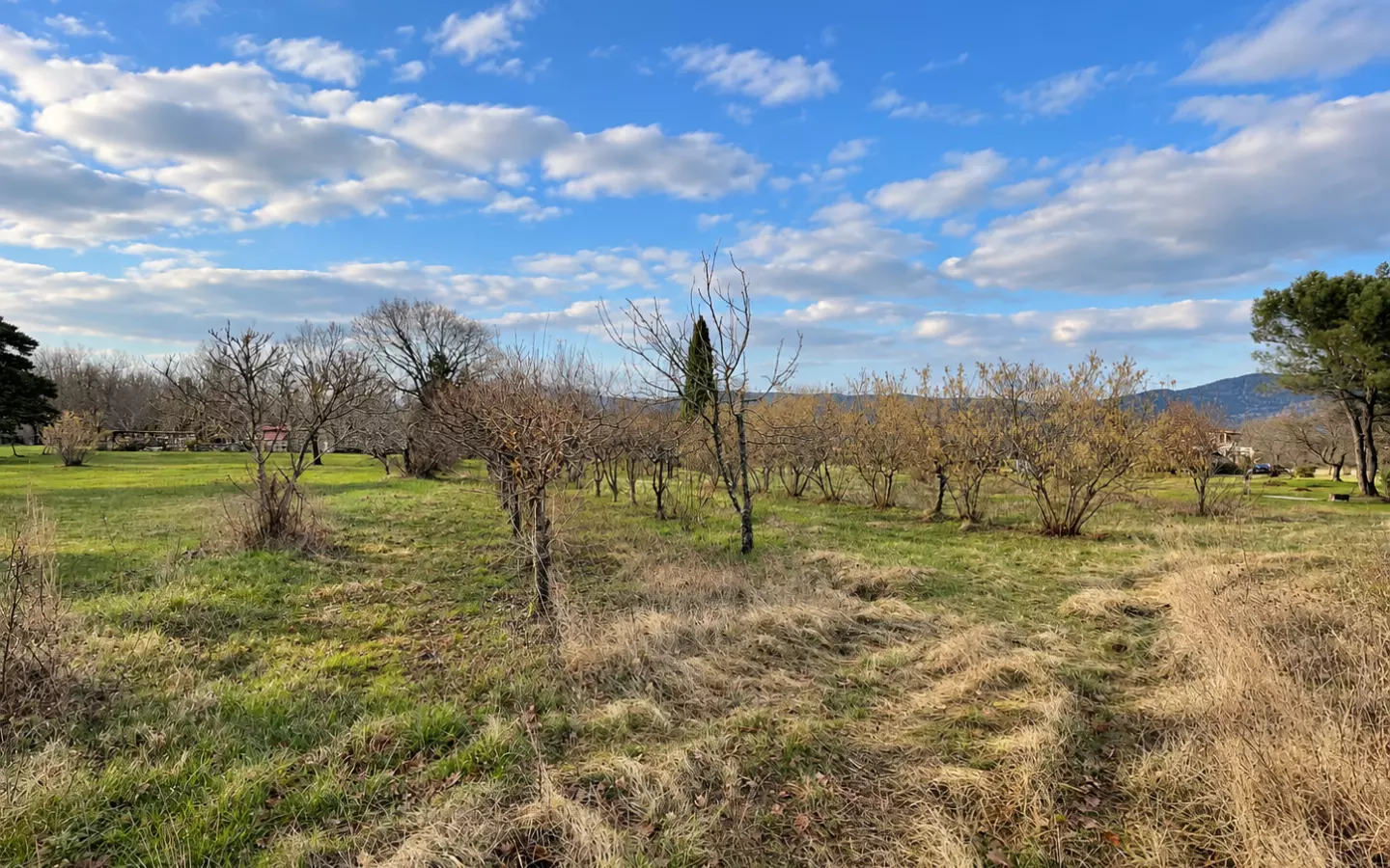 Land In Kršan, Croatia (1.000 M²)