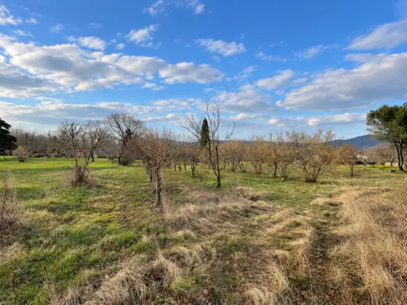 Land In Kršan, Croatia (1.000 M²)