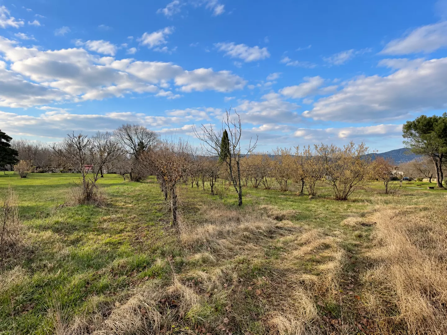 original_1791979346_seoski-vocnjak-pod-plavim-nebom-56cbc7 Land In Kršan, Croatia (1.000 M²)