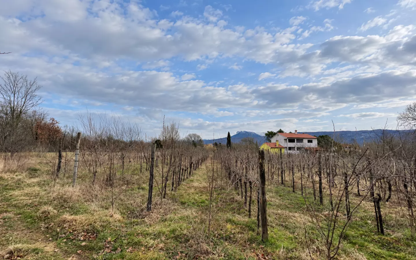 Land In Kršan, Croatia (1.000 M²)
