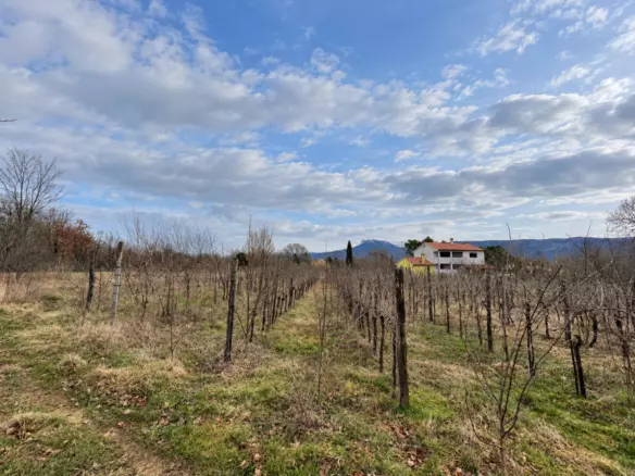 Land In Kršan, Croatia (1.000 M²)