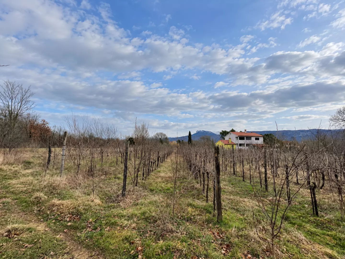 original_1791979354_zimski-vinograd-pod-oblacima-ba8d0e Land In Kršan, Croatia (1.000 M²)