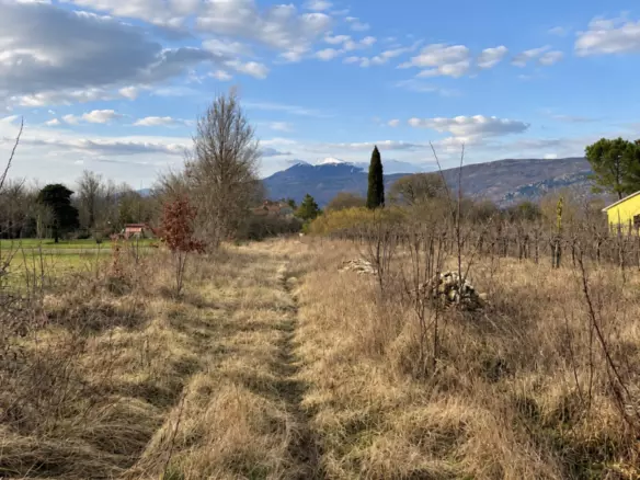 Land In Kršan, Croatia (1.000 M²)