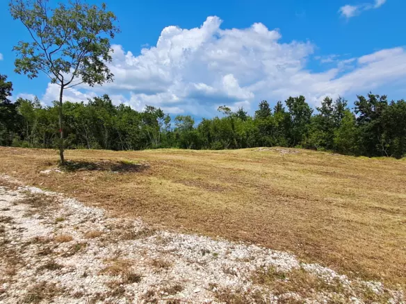 Land In Šegotići, Croatia (636 M²)