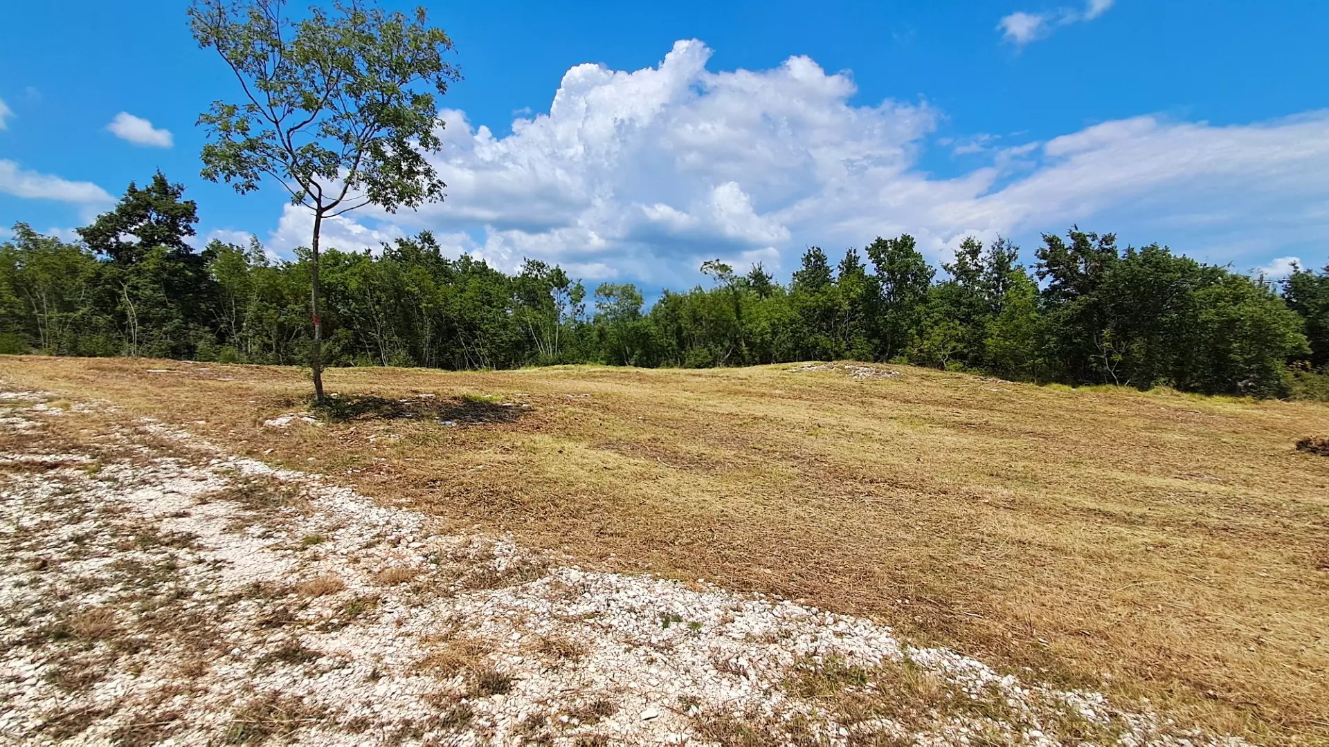 Land In Šegotići, Croatia (636 M²)