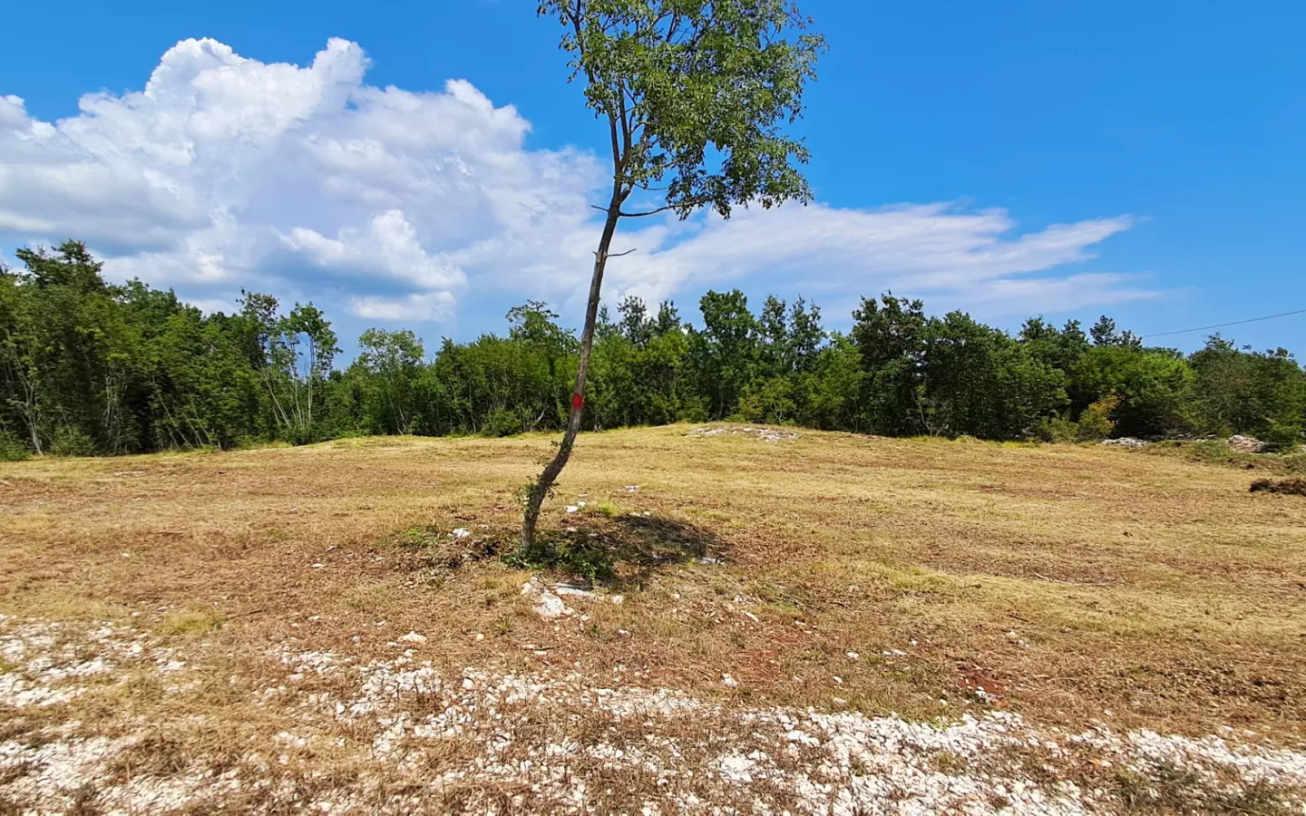 Land In Šegotići, Croatia (636 M²)
