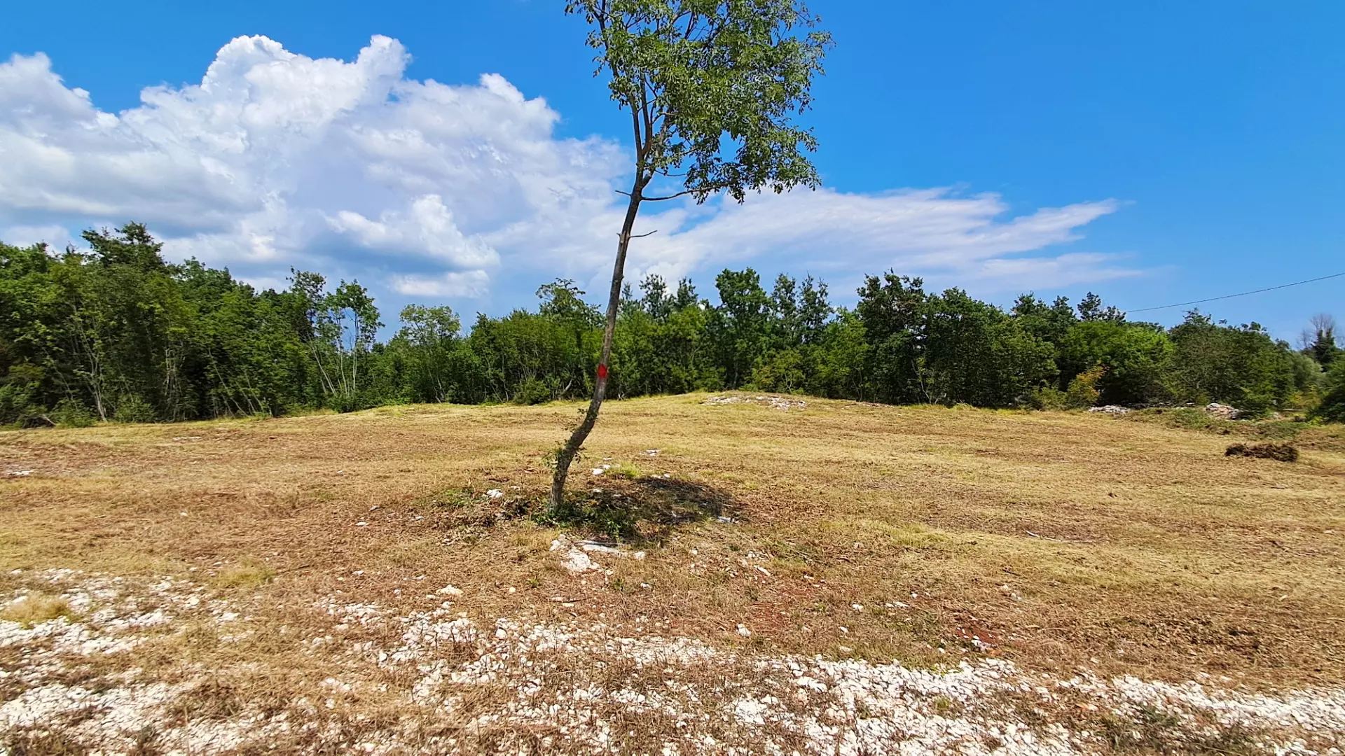 Land In Šegotići, Croatia (636 M²)