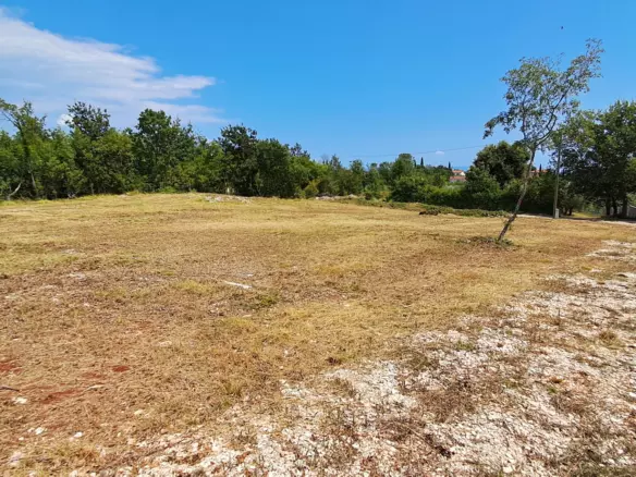 Land In Šegotići, Croatia (636 M²)