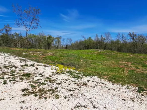 Land In Šegotići, Croatia (636 M²)