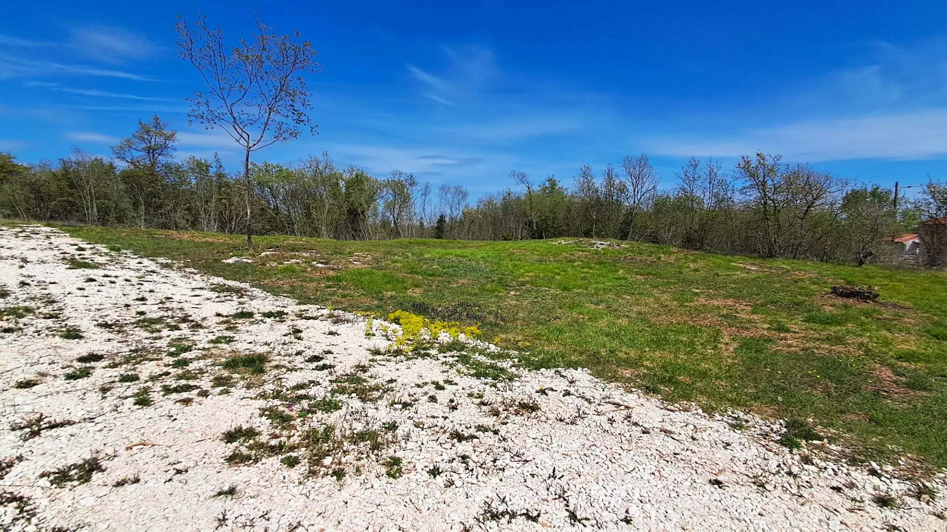 Land In Šegotići, Croatia (636 M²)