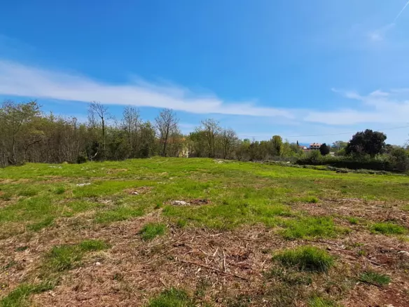 Land In Šegotići, Croatia (636 M²)