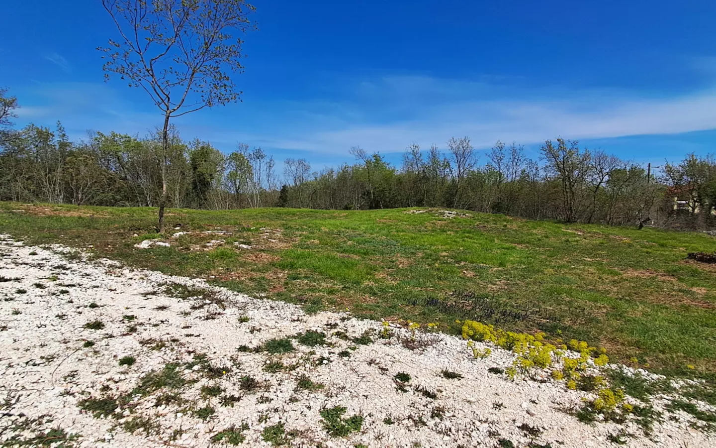 Land In Šegotići, Croatia (632 M²)