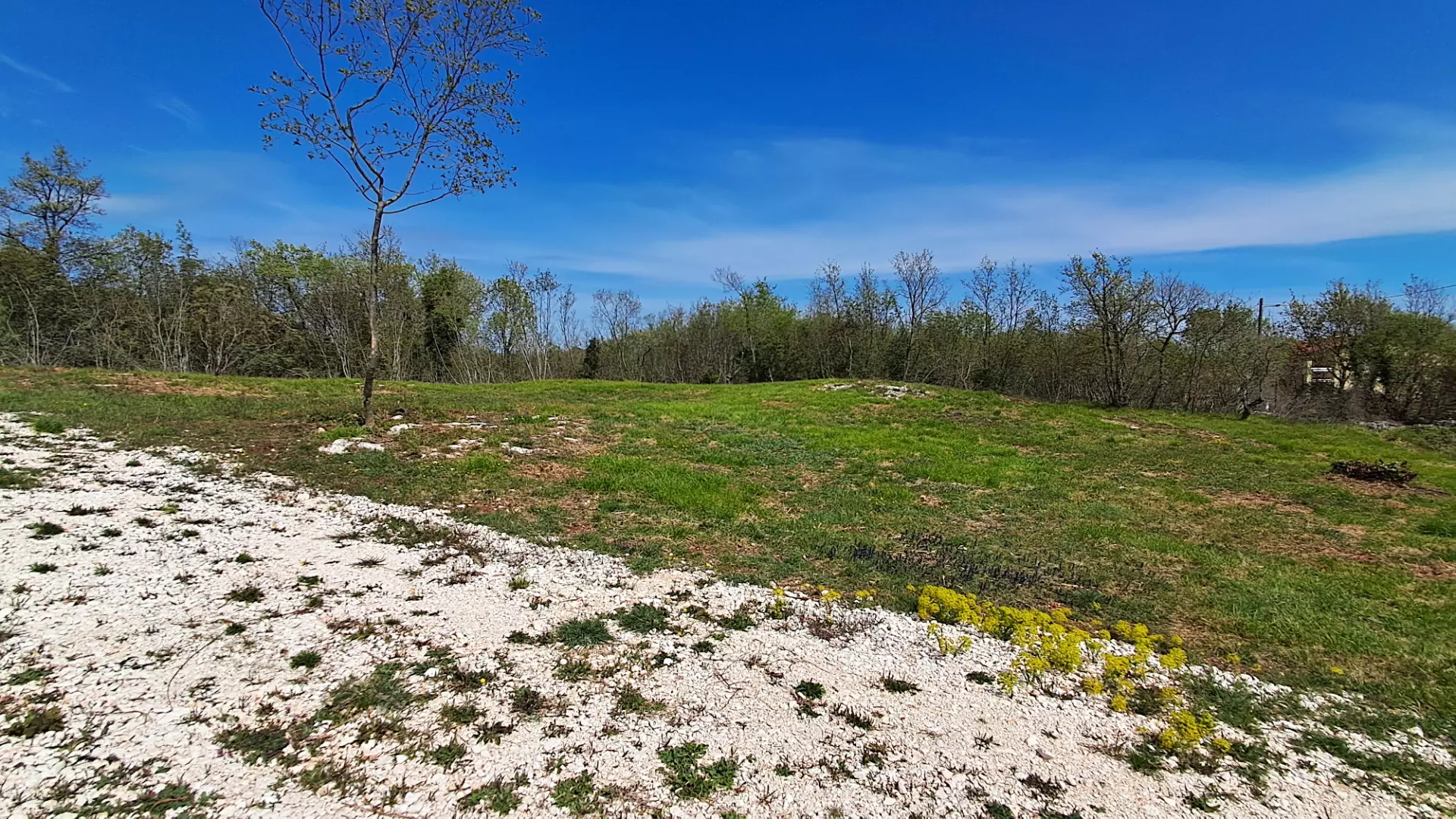 Land In Šegotići, Croatia (632 M²)