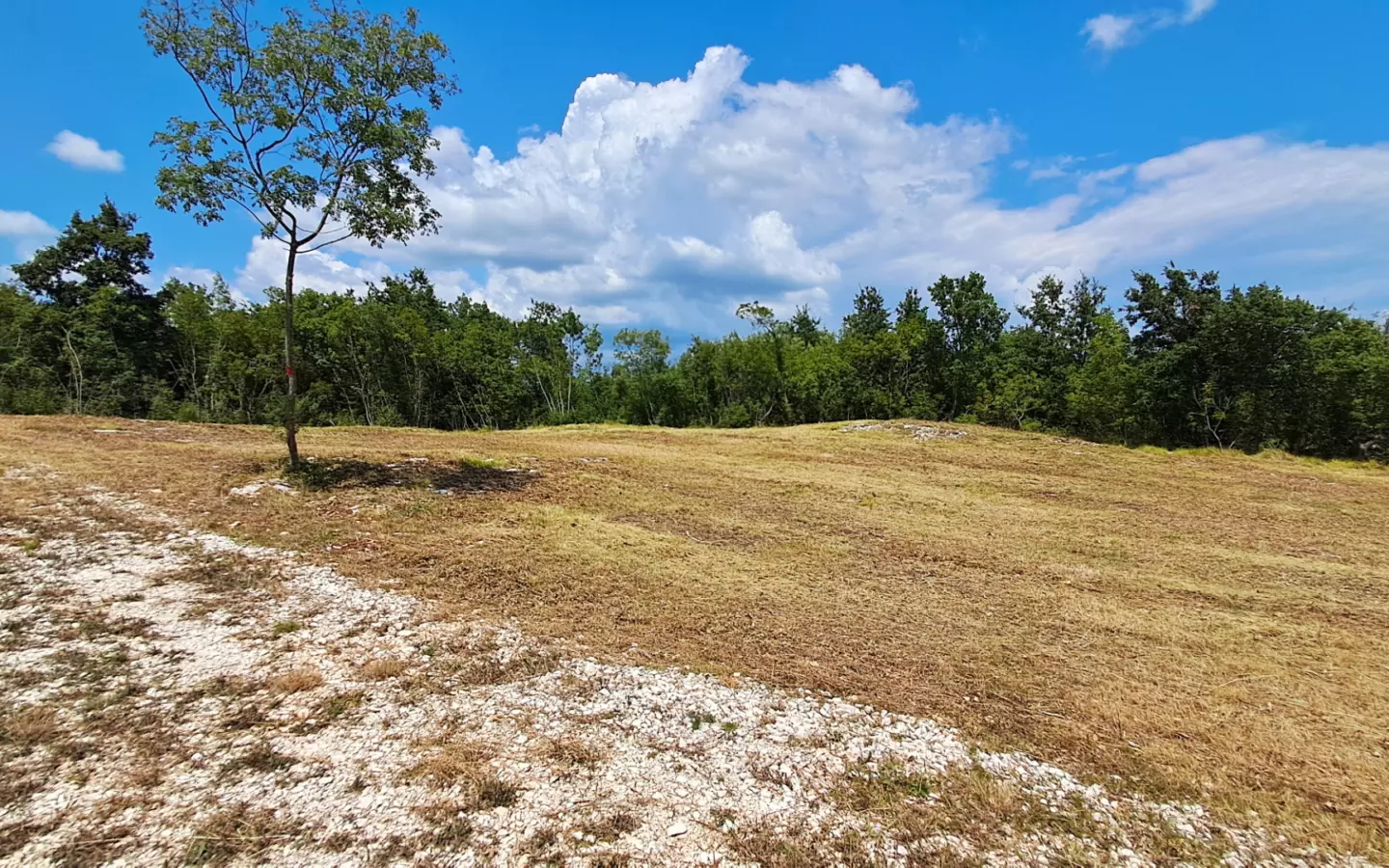 Land In Šegotići, Croatia (632 M²)