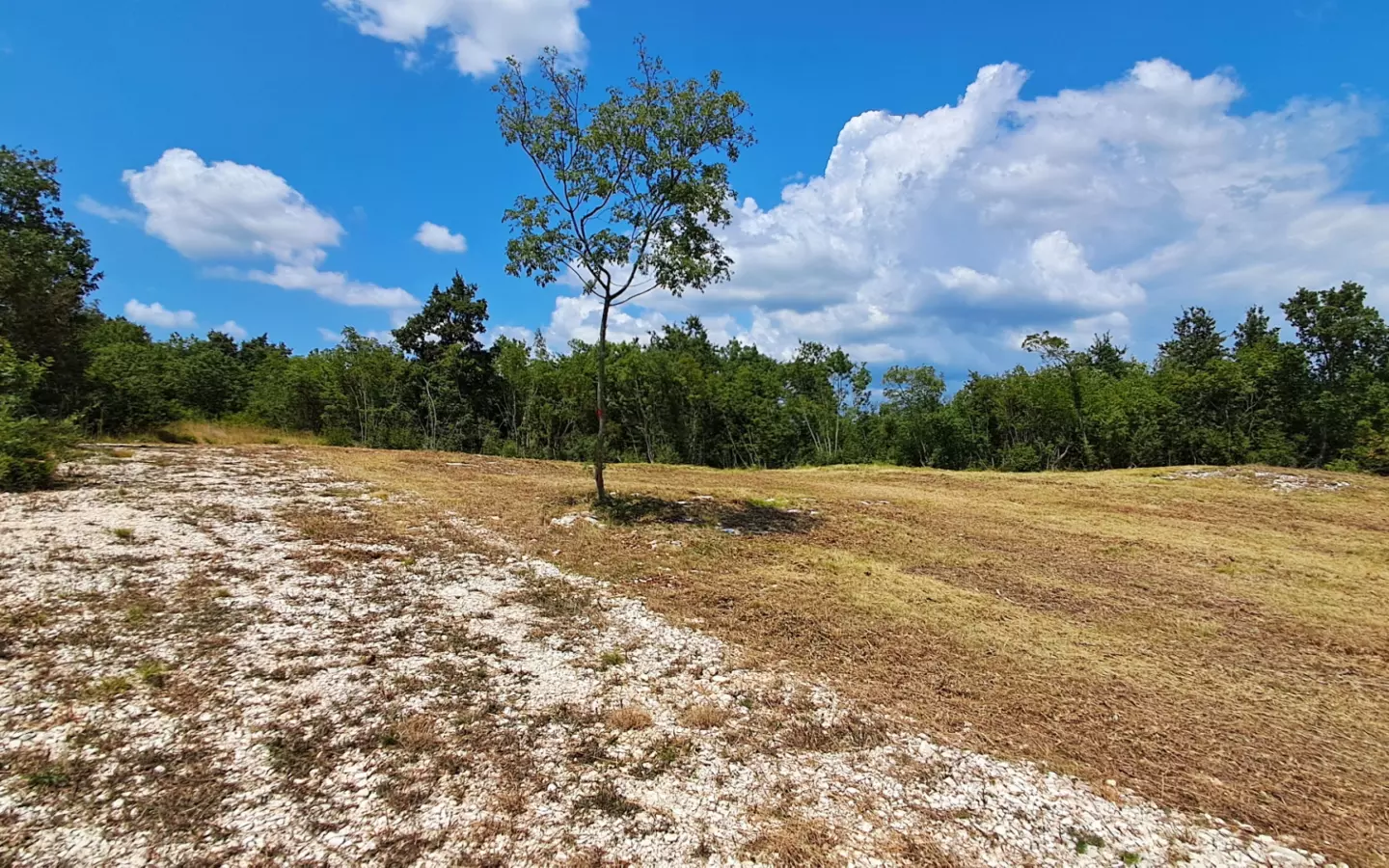Land In Šegotići, Croatia (632 M²)
