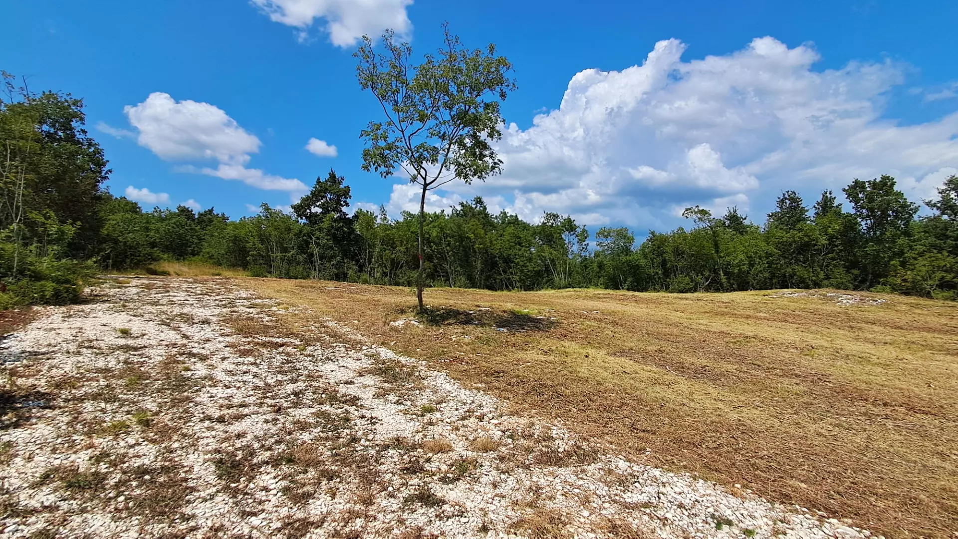 Land In Šegotići, Croatia (632 M²)