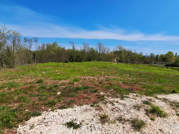 Land In Šegotići, Croatia (632 M²)