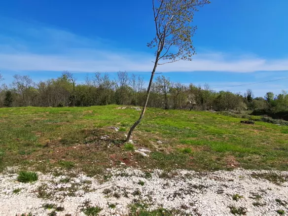Land In Šegotići, Croatia (632 M²)