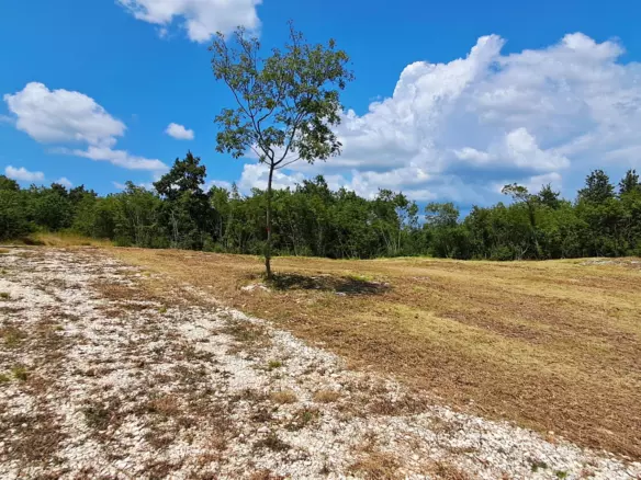 Land In Šegotići, Croatia (1.268 M²)