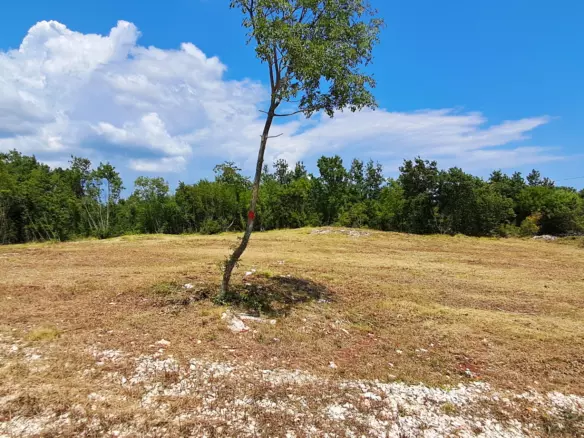 Land In Šegotići, Croatia (1.268 M²)