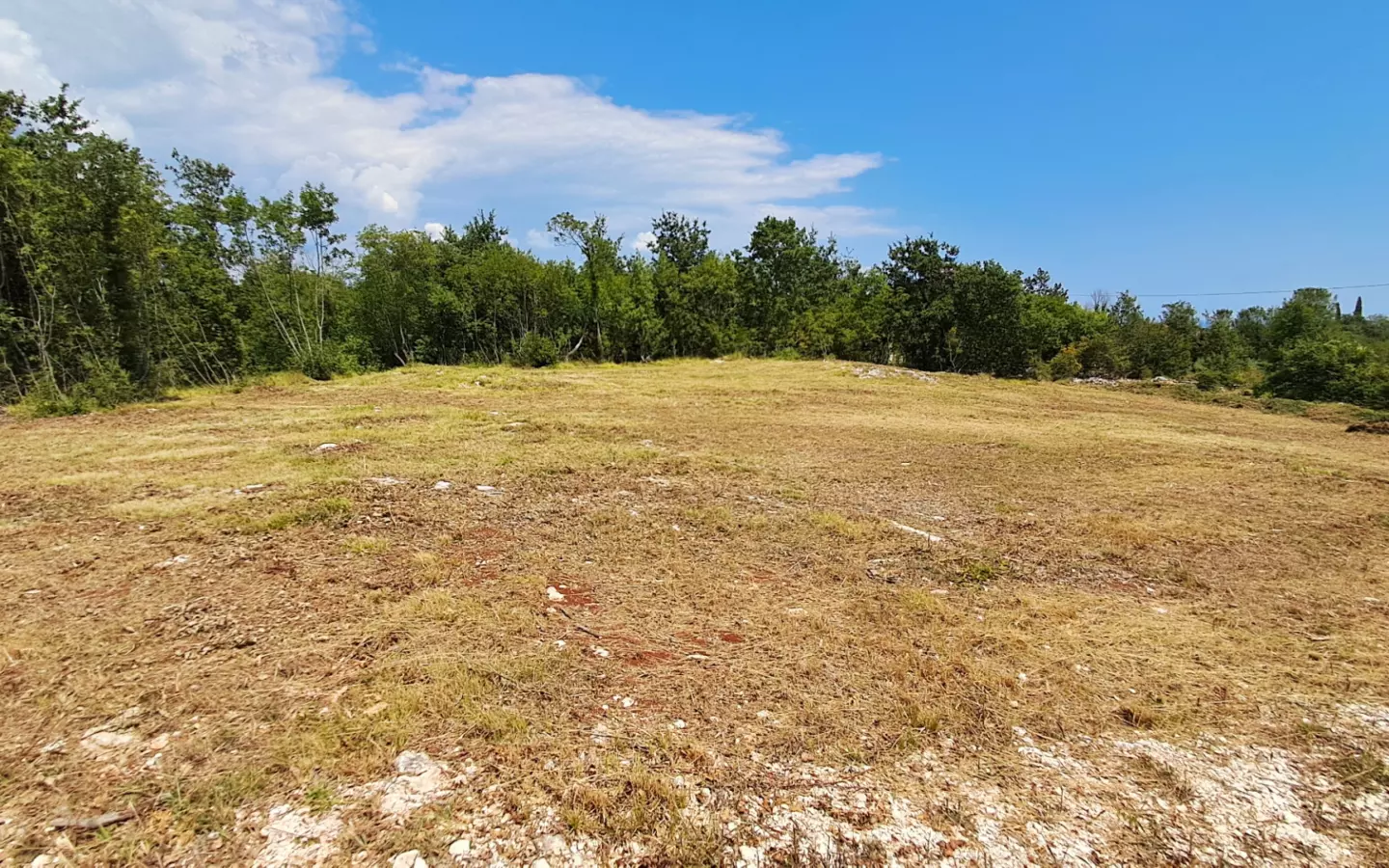 Land In Šegotići, Croatia (1.268 M²)