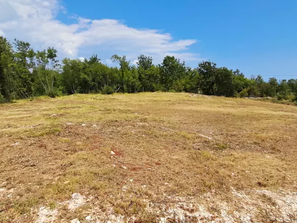 Land In Šegotići, Croatia (1.268 M²)