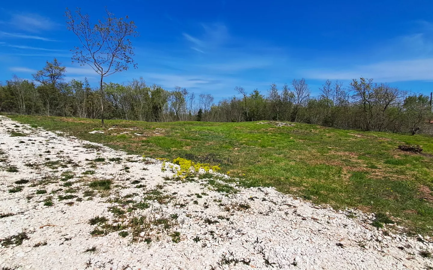 Land In Šegotići, Croatia (1.268 M²)