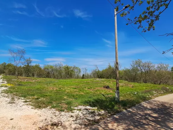 Land In Šegotići, Croatia (1.268 M²)