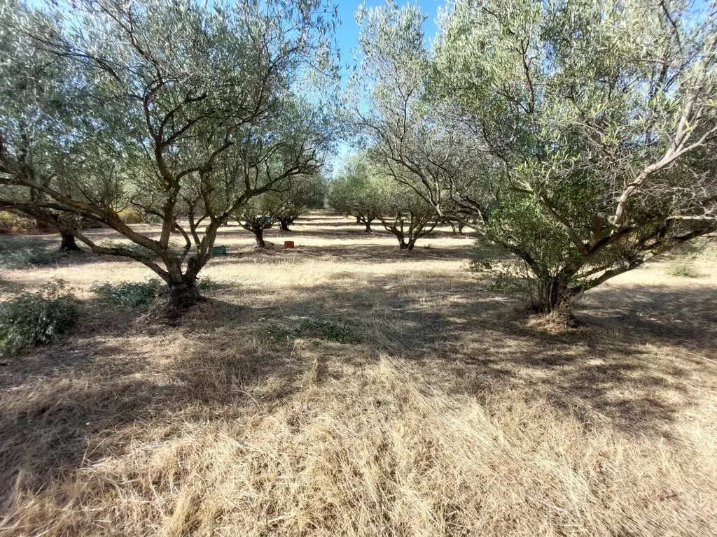 Land In Vasilika, Greece
