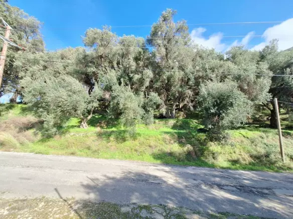 Land In Corfu, Greece