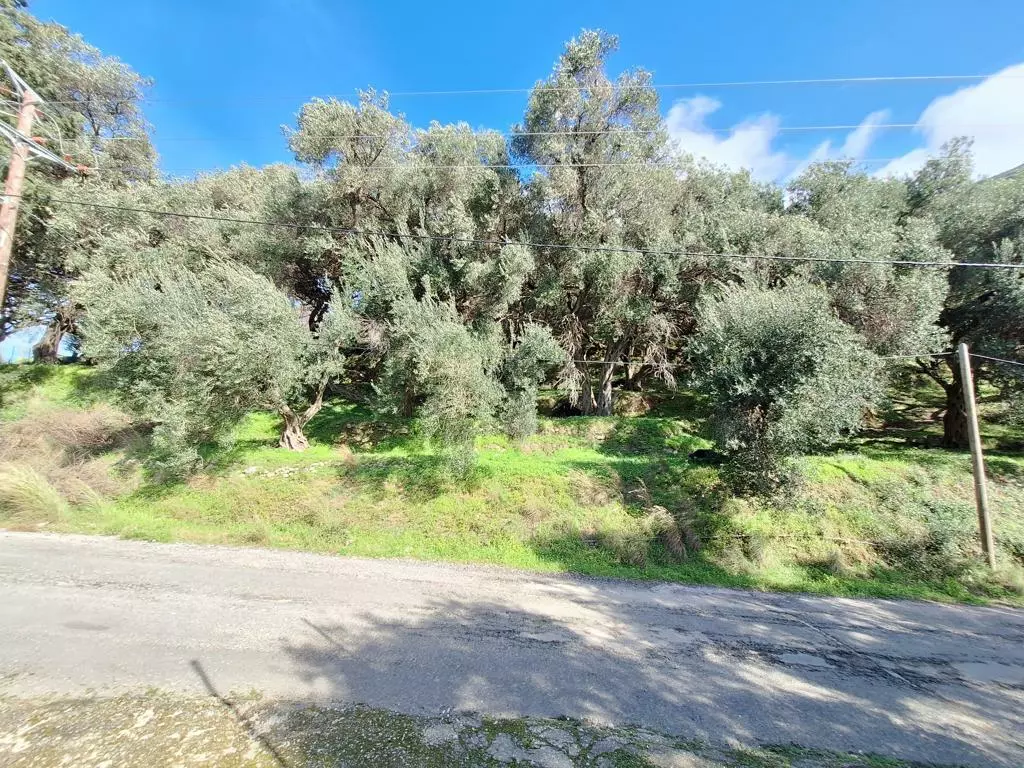 Land In Corfu, Greece