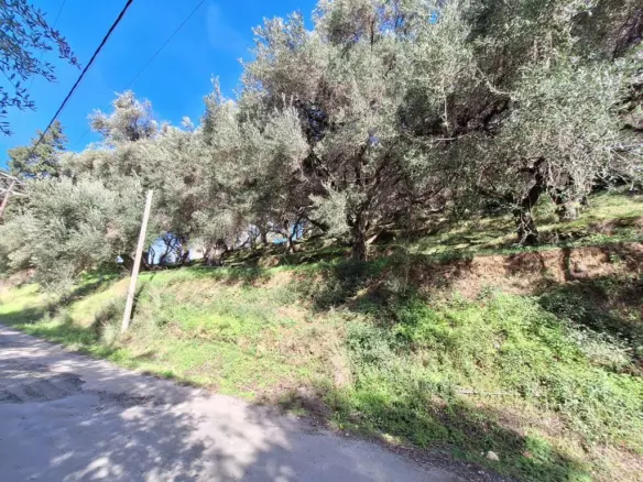 Land In Corfu, Greece