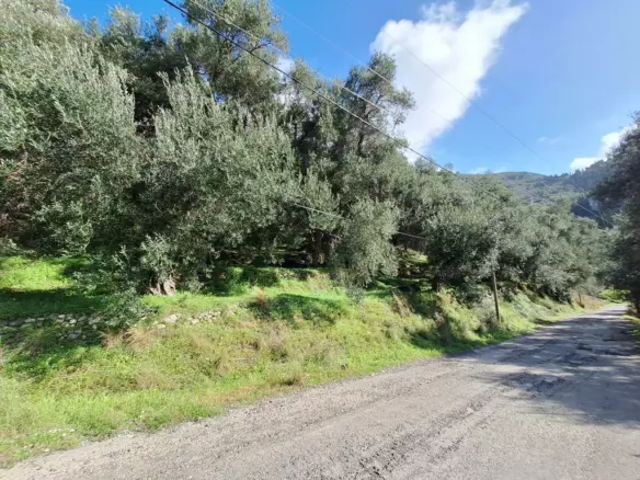 Land In Corfu, Greece