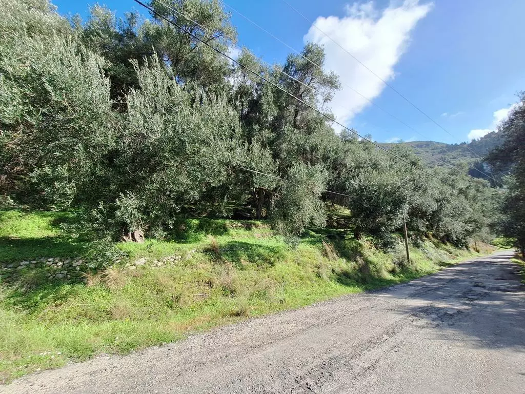 Land In Corfu, Greece